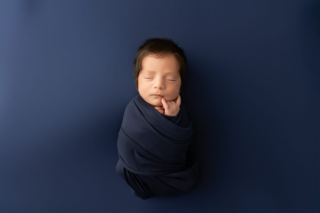 Judith photography newborn session baby boy on blue backdrop